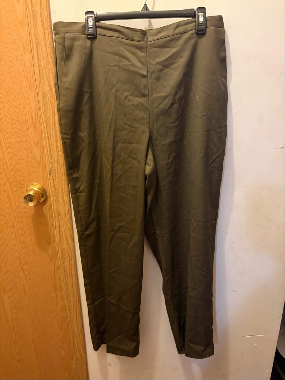 Alfred dunner dress pants